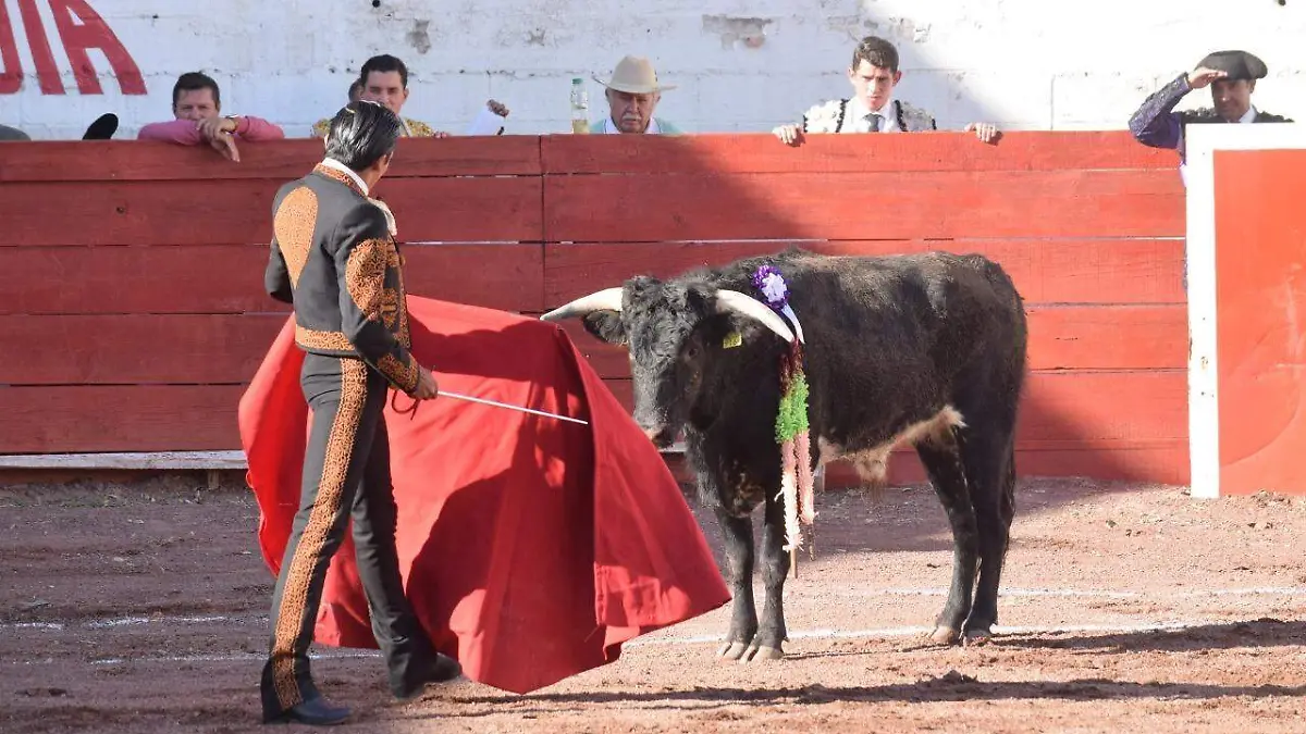 Corrida de toros